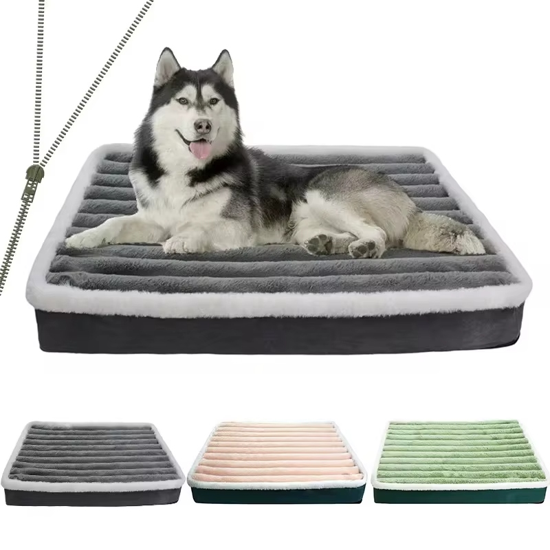 An orthopedic dog bed is a specially designed bed.