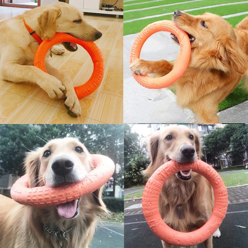Durable Dog Chew Toys: Guide for Active Pups