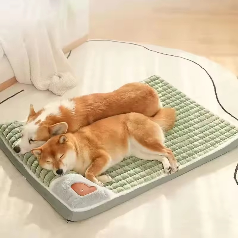 Orthopedic dog beds are designed to offer extra comfort and support for dogs.