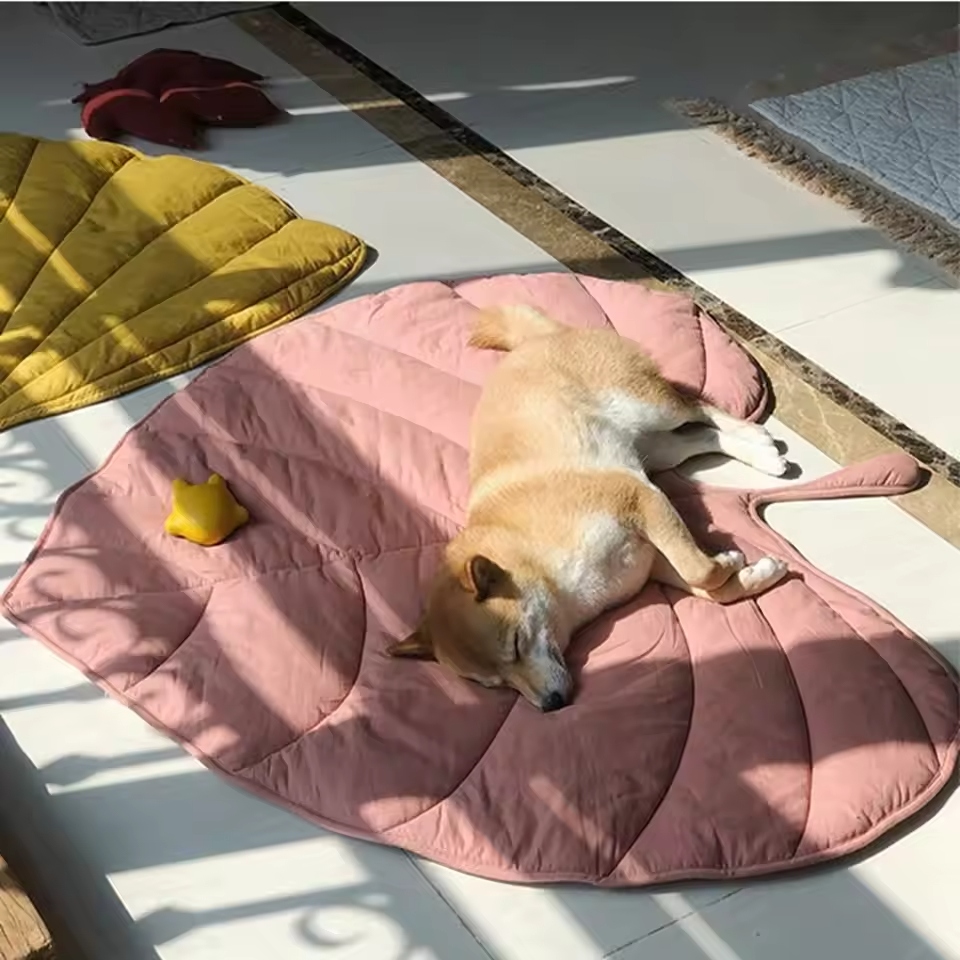 Dogs, like humans, need proper rest for their health. A good dog bed provides your pet with a dedicated space to relax and sleep.