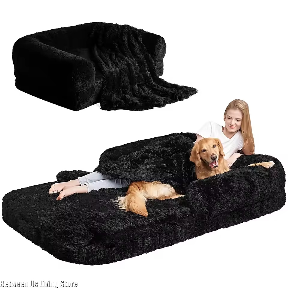 A memory foam dog bed is designed to provide superior comfort for your pet.