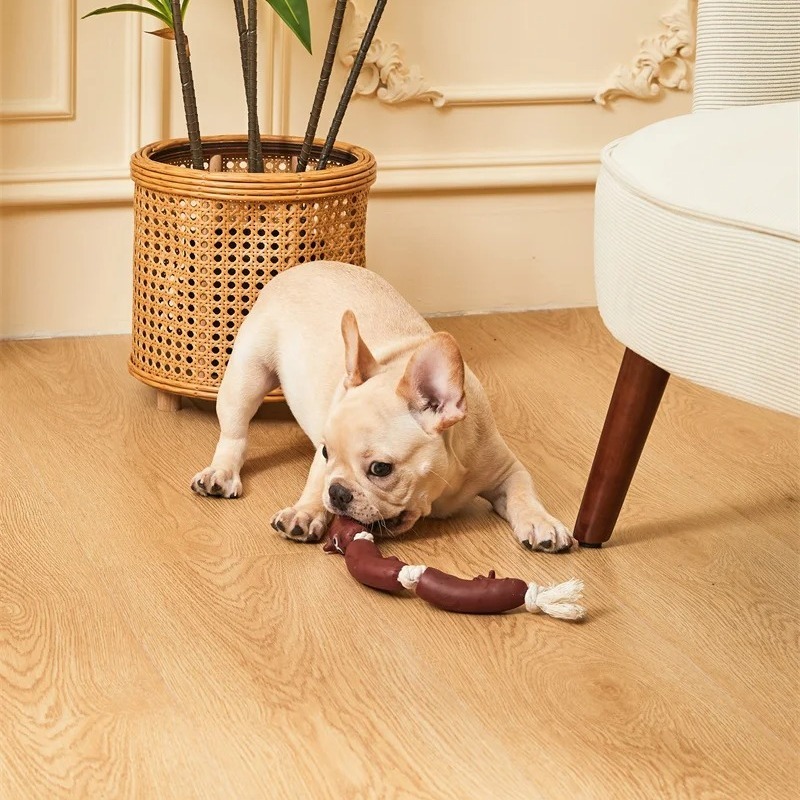How to Choose the Best Chew Toys for Small Dogs