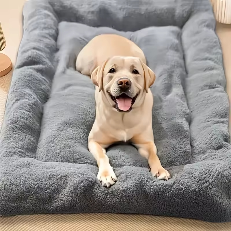 When choosing an XL dog bed, size is a critical factor.