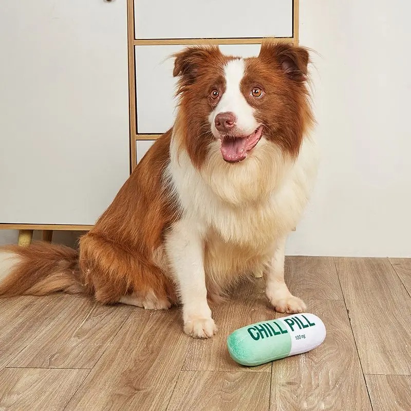 Durable Dog Chew Toys: Guide for Active Pups