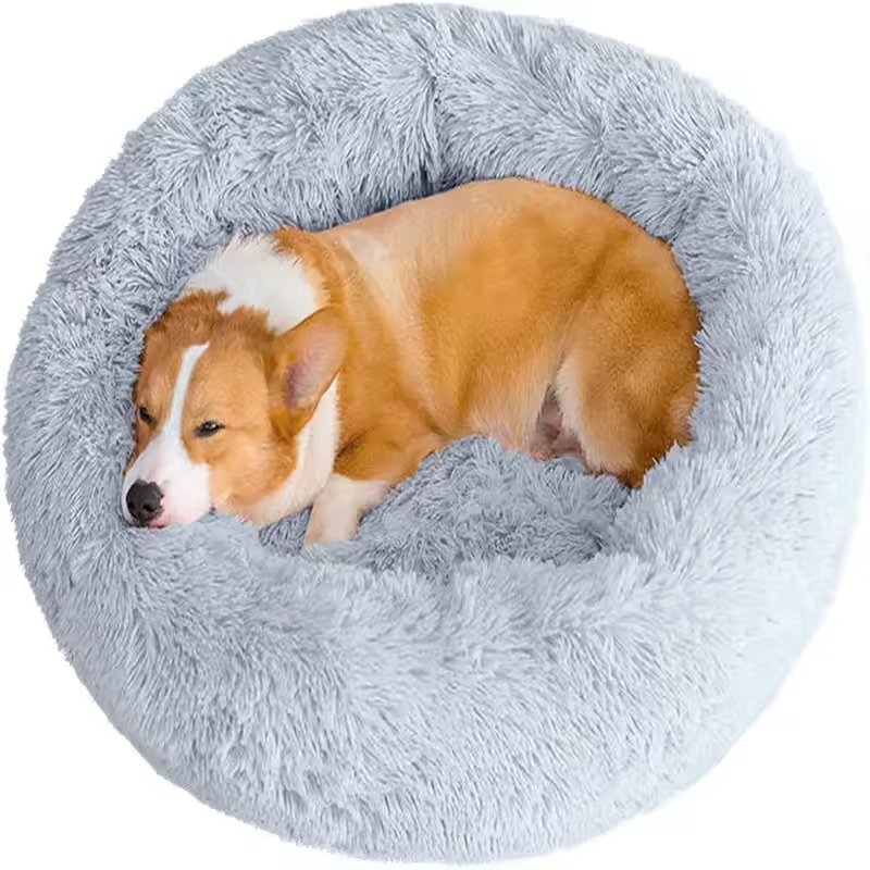 Understanding anxiety in dogs helps us manage their emotional health effectively.