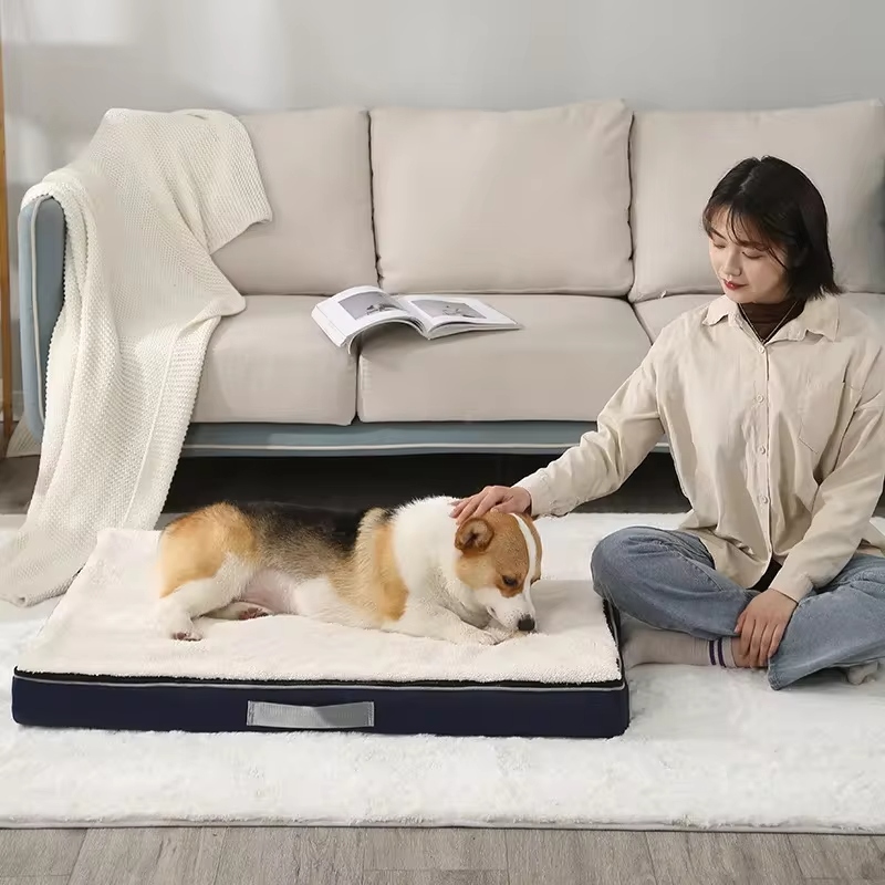 Dog couch beds offer numerous advantages for your furry friend.