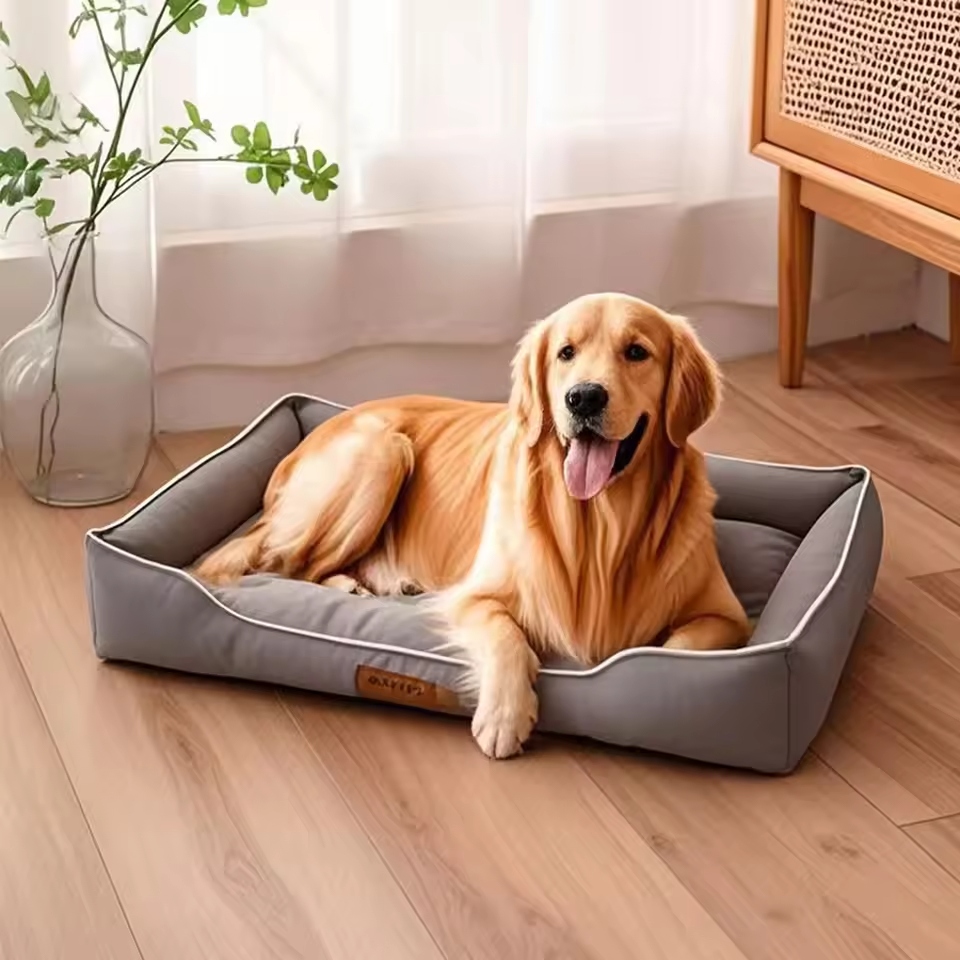 Choosing the Perfect XL Dog Bed