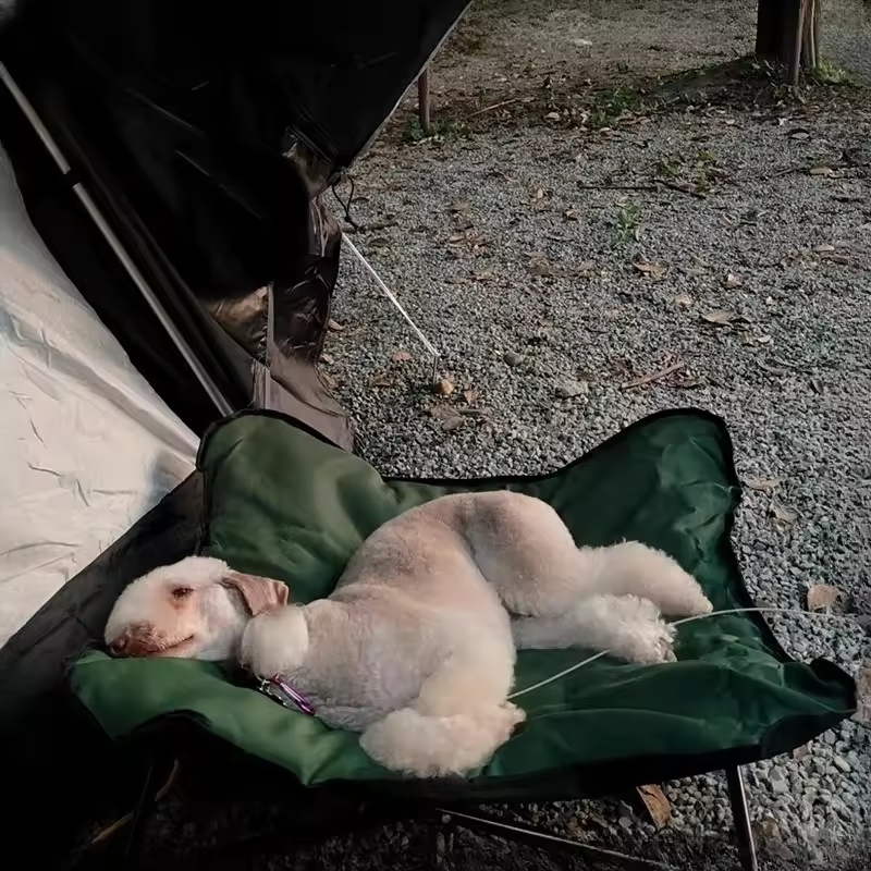 An outdoor dog bed offers dedicated space for dogs to relax outside.