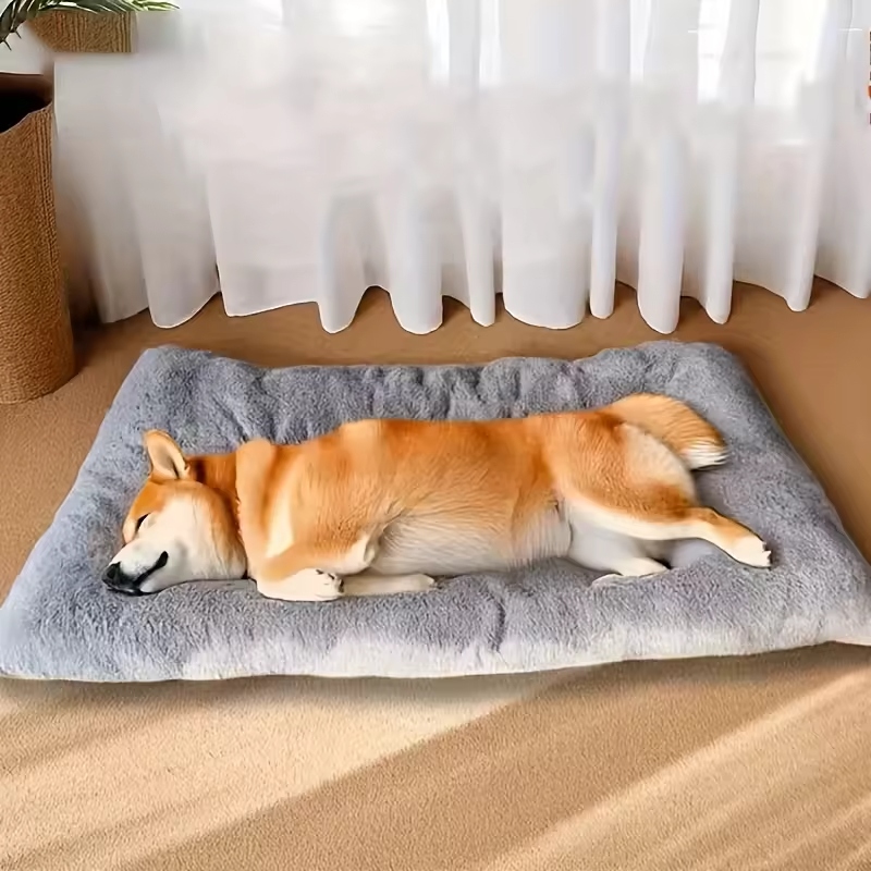 Dog couch beds offer numerous advantages for your furry friend.