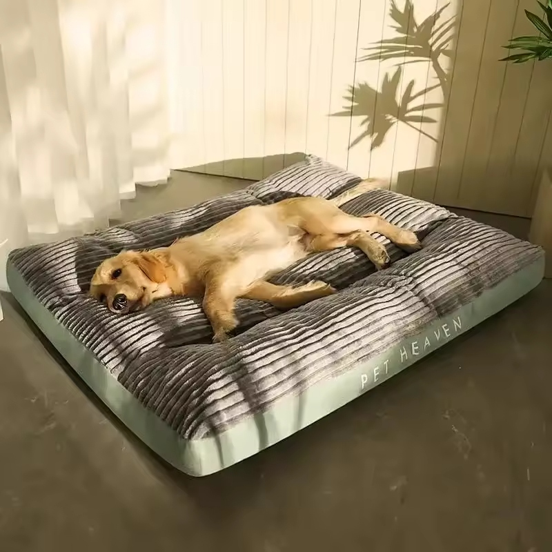 Choosing the right dog bed is essential for your pet's comfort and well-being.