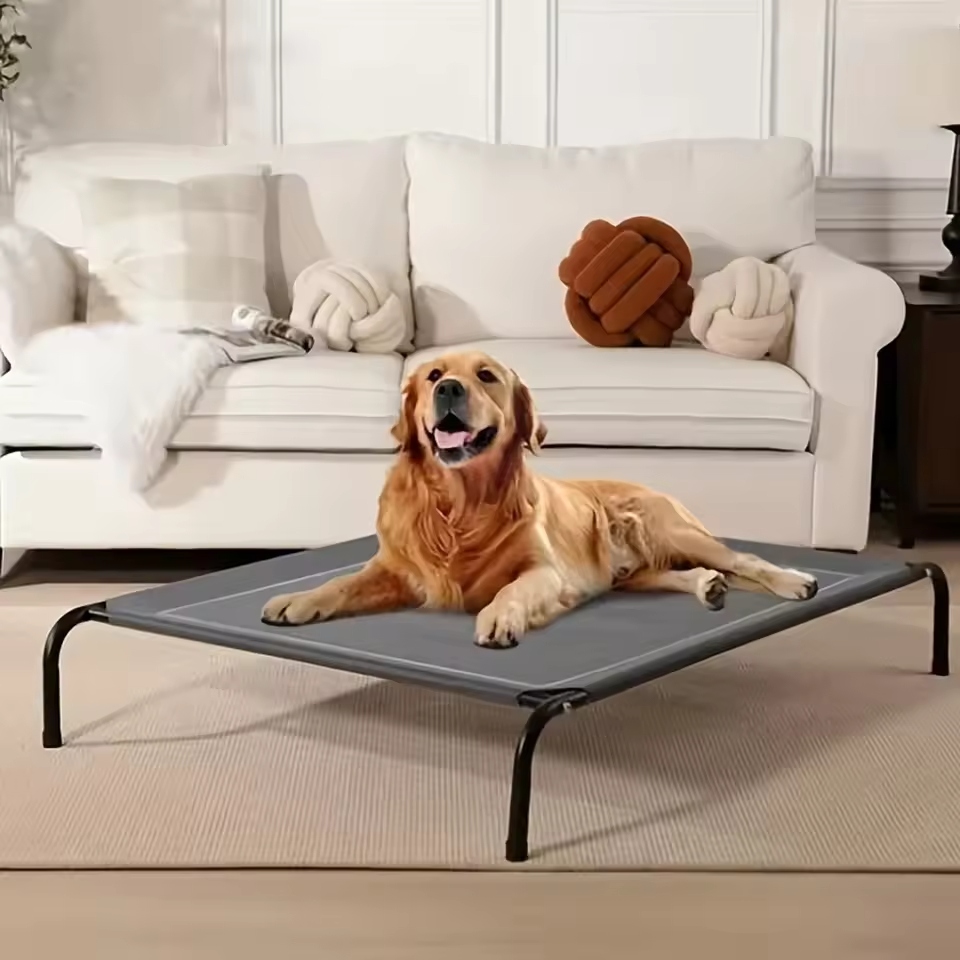 An elevated dog bed is a type of pet bed raised above the ground.
