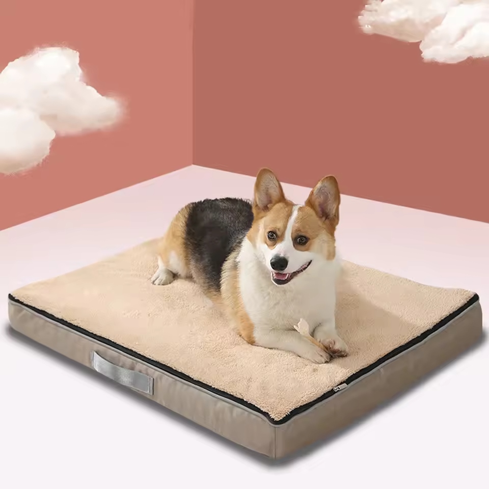 Large dog beds are specially designed to meet the needs of bigger breeds.