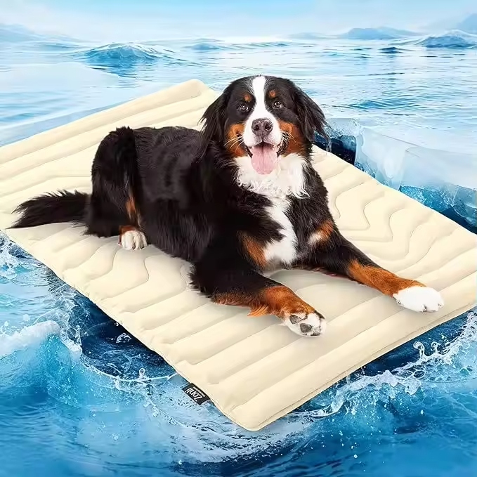 Washable dog beds offer numerous advantages for pet owners and their furry companions.